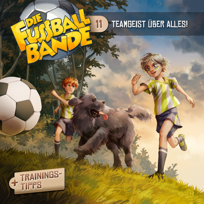 Hörspielcover Folge 11 Teamgeist über alles